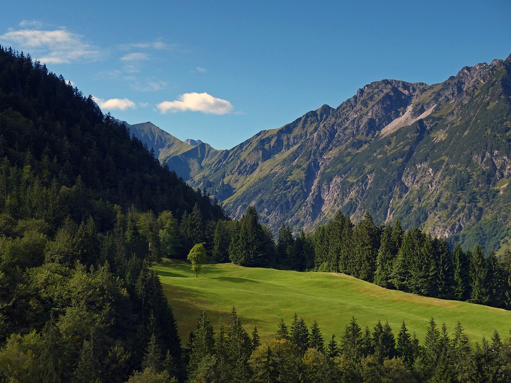 Schöne Aussicht von Gertruben zur Rautwiese