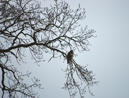 Schöne Aussichten…