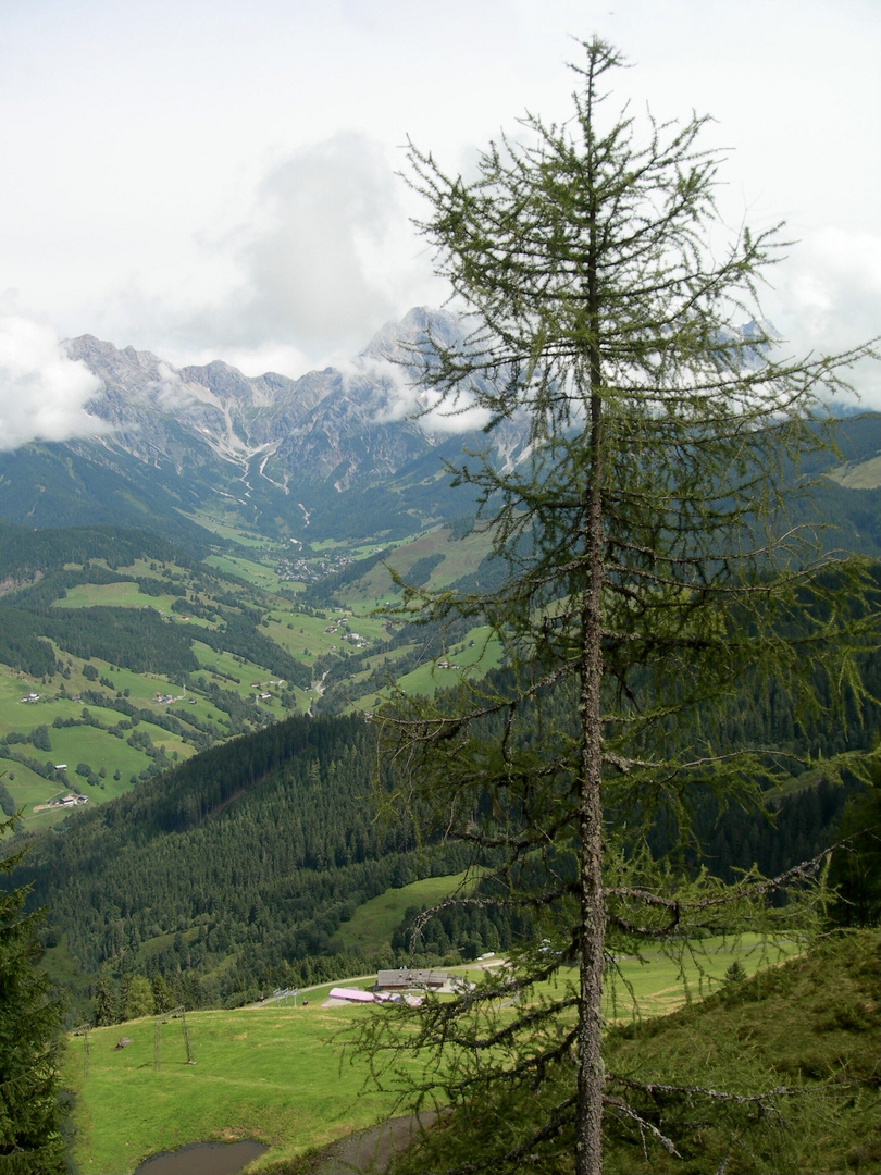 Schöne Aussichten…