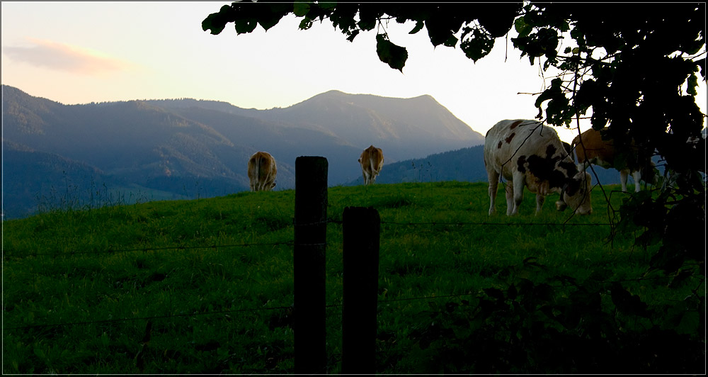 schöne aussichten