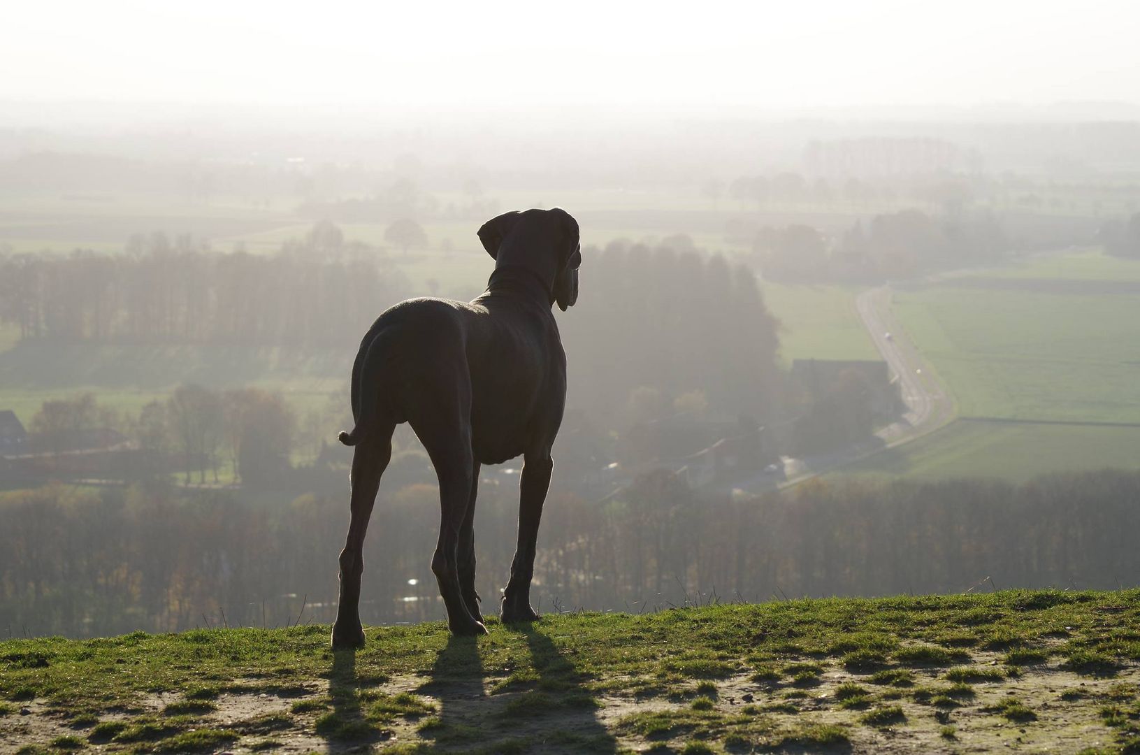 Schöne Aussichten!