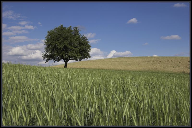 schöne Aussichten...