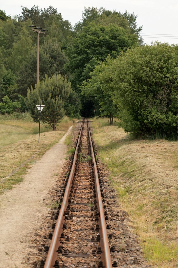 Schöne Aussichten...