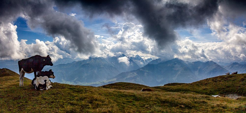 Schöne Aussichten!