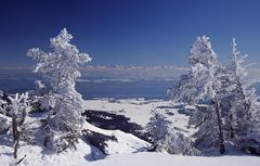 Schöne Aussichten