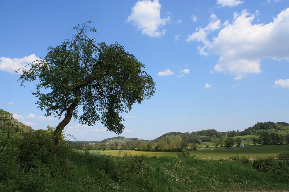 schöne Aussichten...