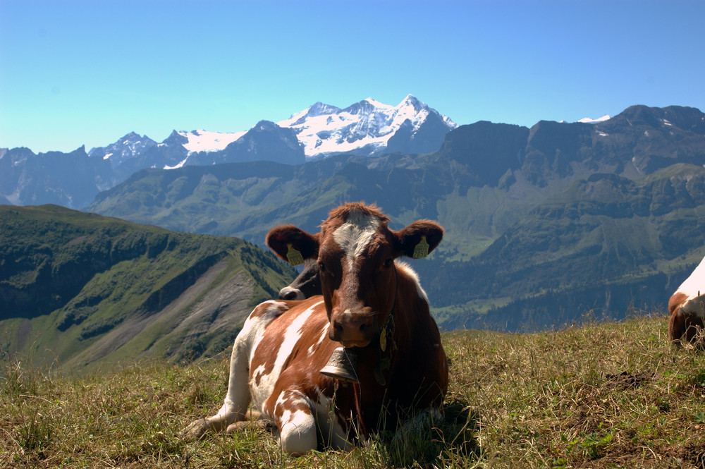 Schöne Aussichten