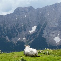 Schöne Aussichten