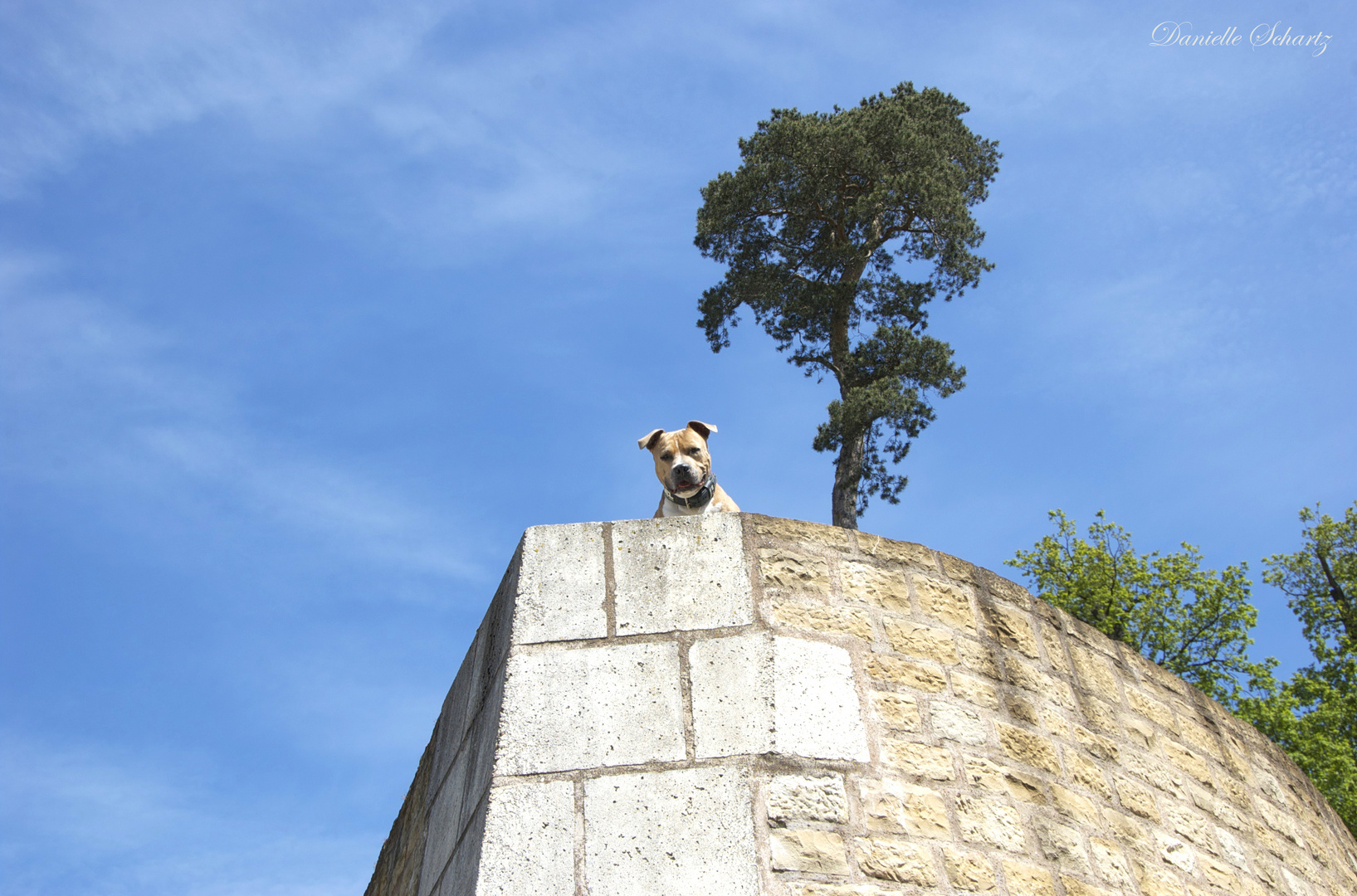 Schöne Aussichten