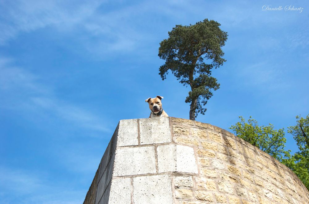 Schöne Aussichten