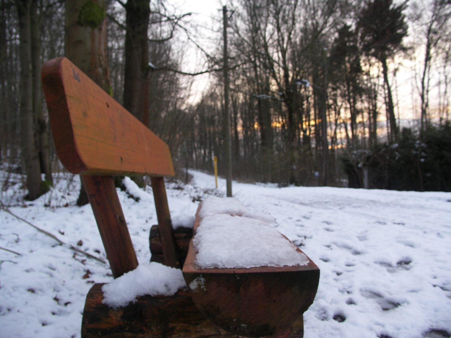 Schöne Bank im Wald