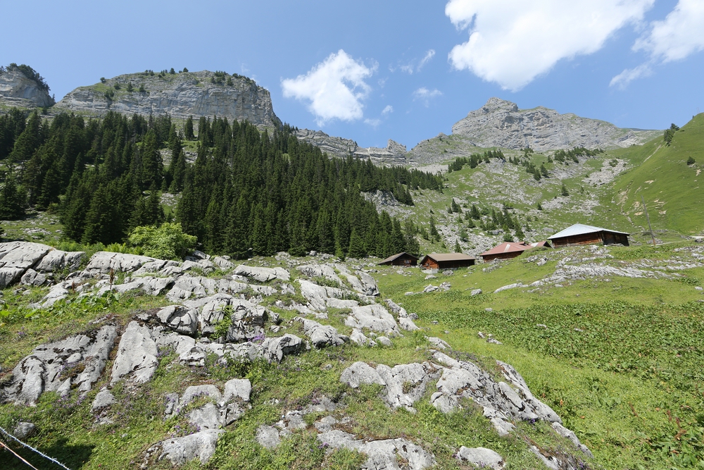 Schöne Berglandschaft