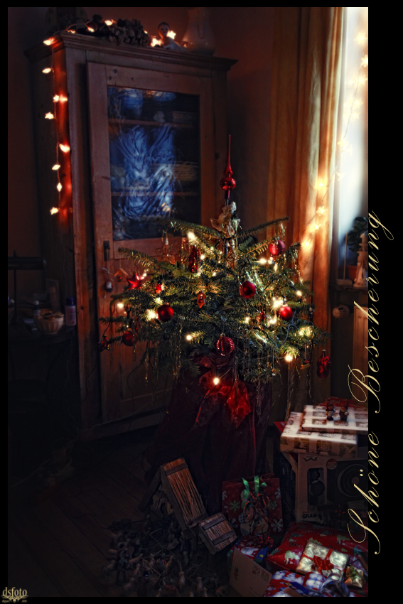 Schöne Bescherung ! Foto & Bild  gratulation und feiertage 