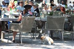 Schöne Biergartenzeit