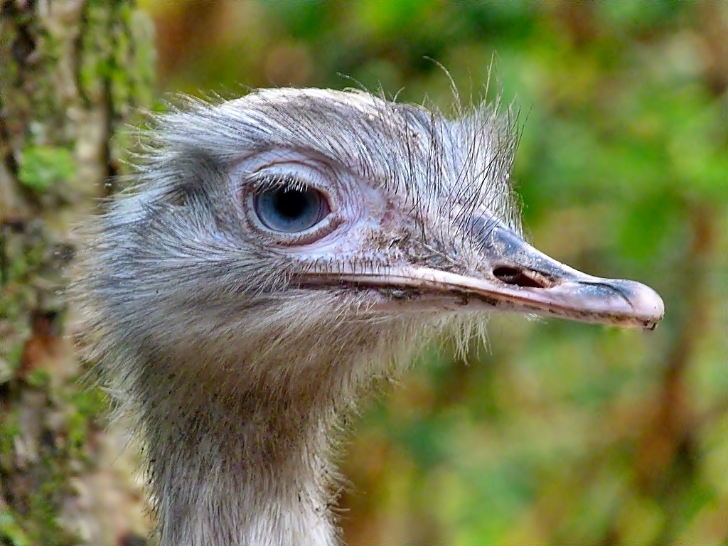 Schöne blaue Augen . . .