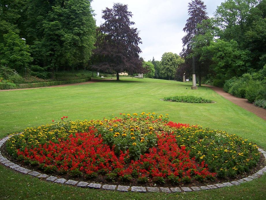 Schöne Blumen in Bad Helmstedt