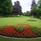 Schöne Blumen in Bad Helmstedt