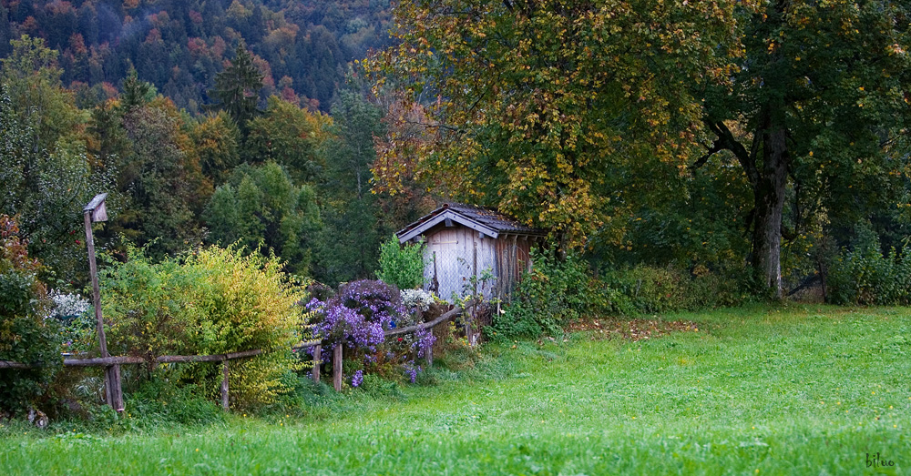 schöne bunte welt