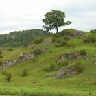 Schöne Ecken im Sauerland