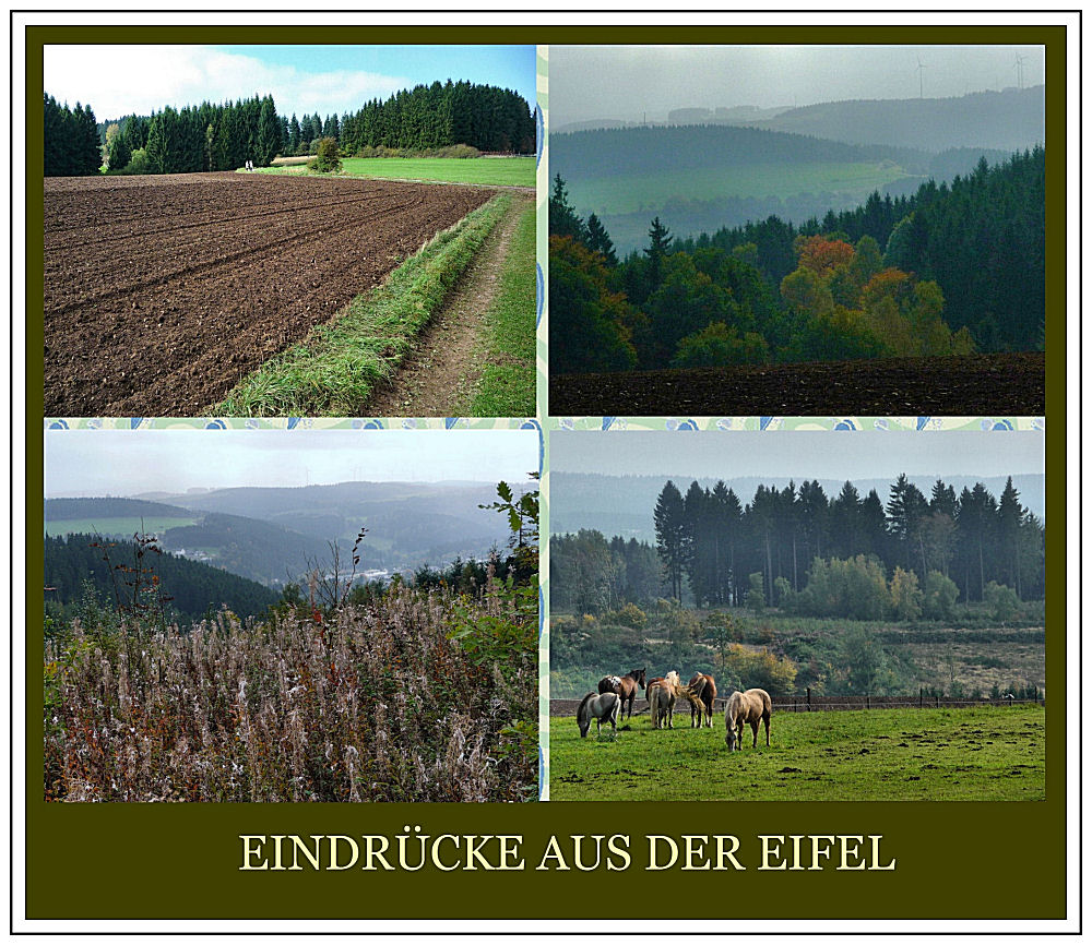 Schöne Eifel