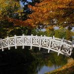 schöne Erinnerung an einen wunderbaren Herbst