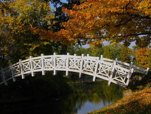 schöne Erinnerung an einen wunderbaren Herbst