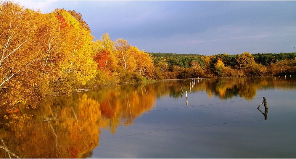 Schöne Farben 1