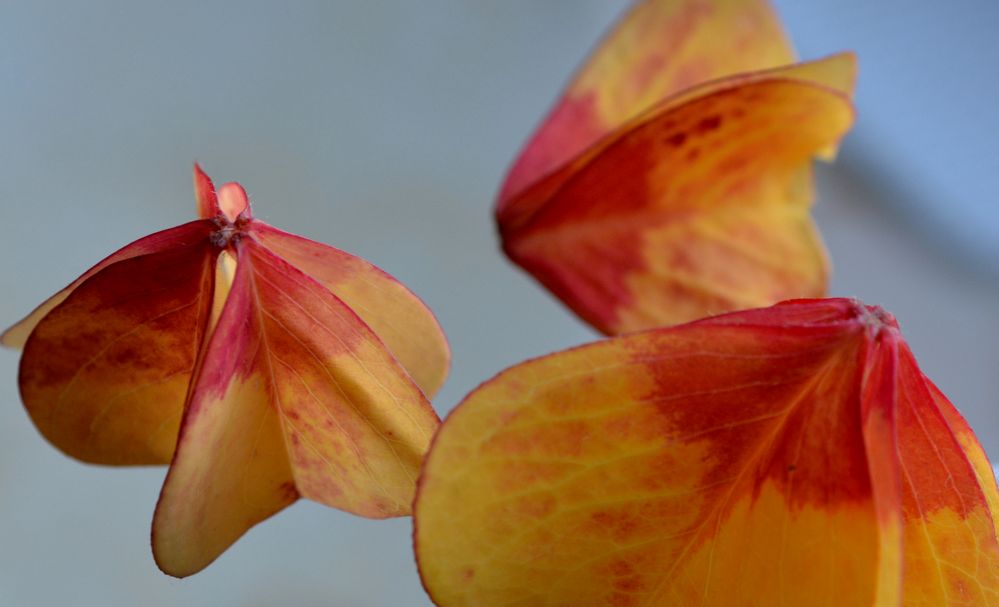 schöne farben