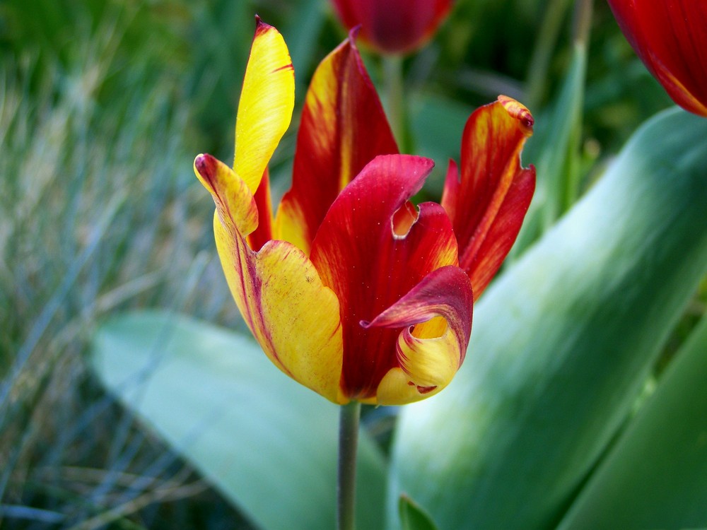 Schöne Farben.