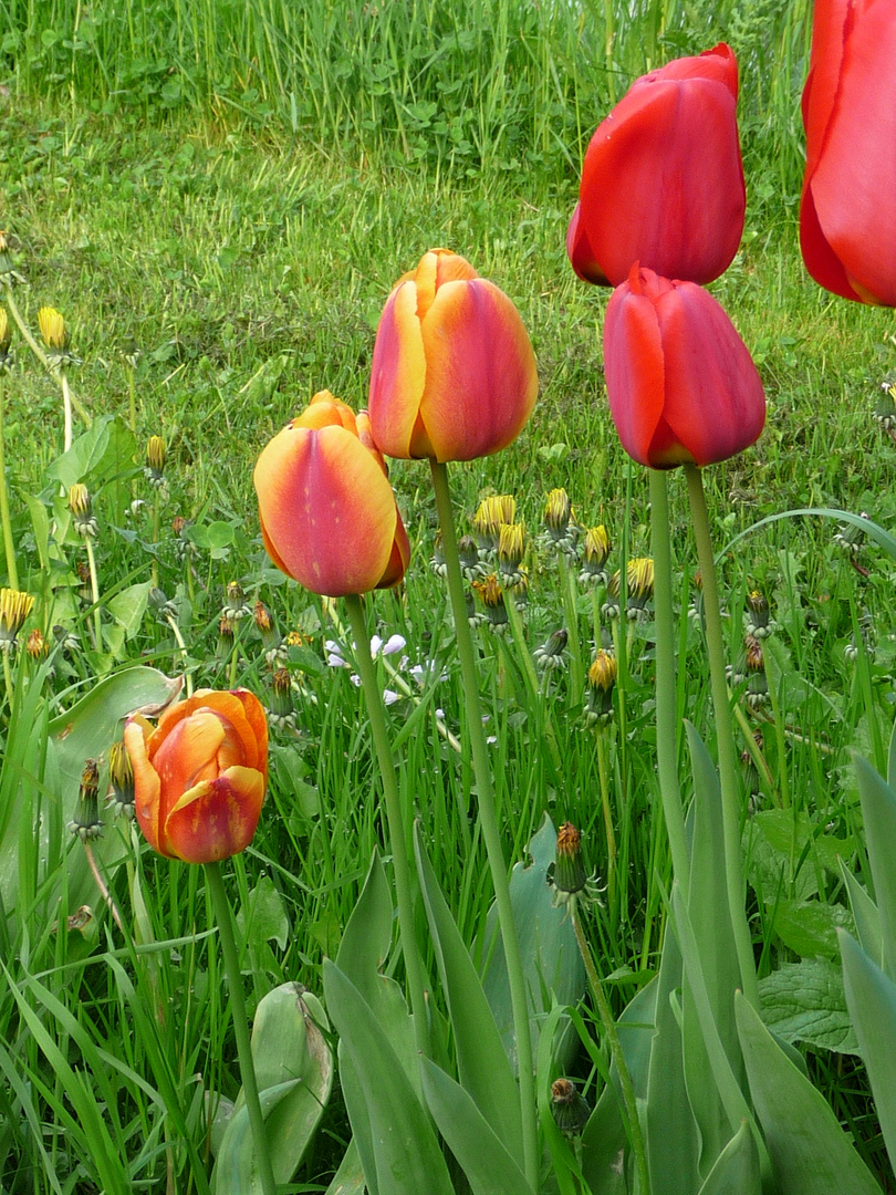 Schöne Farben