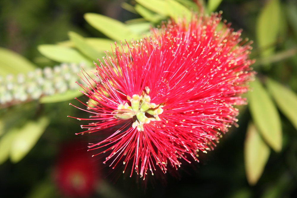 Schöne Farben der Natur