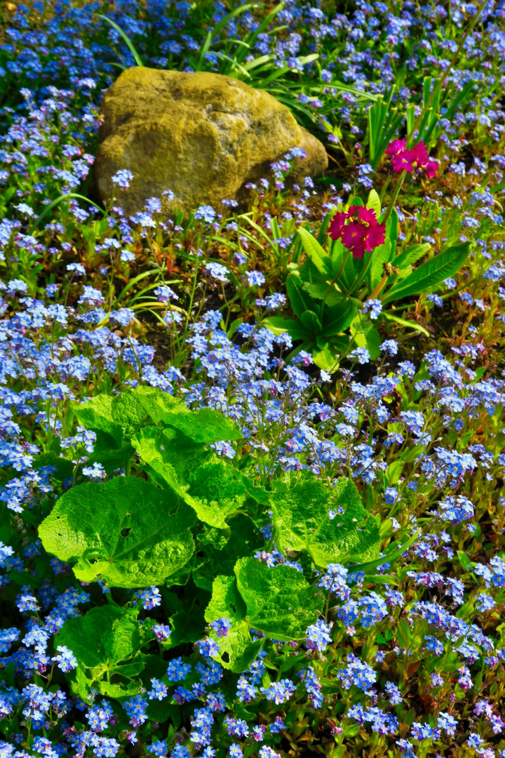 Schöne Farben