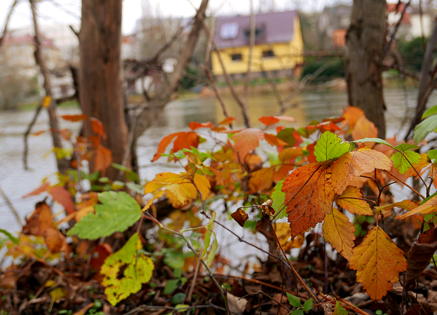 schöne Farben im Dezember