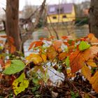 schöne Farben im Dezember