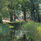 Schöne farben ins Wald