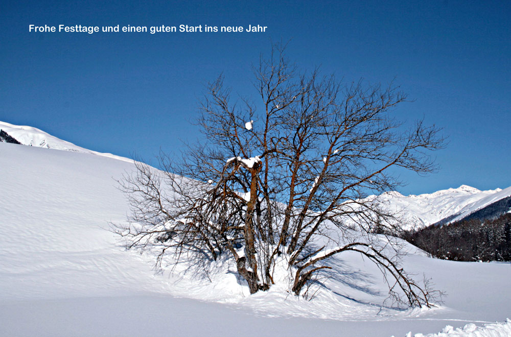 schöne Festtage