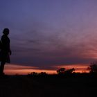 Schöne Frau in der Abendröte