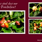 Schöne Früchtchen