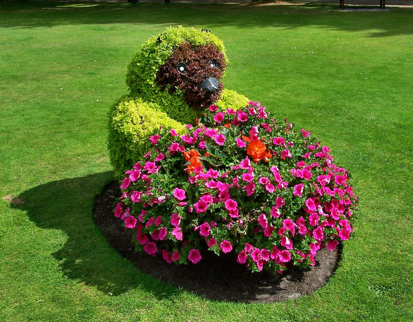 Schöne Gartengestaltung Begonien