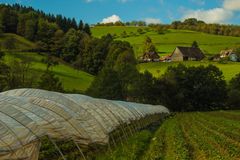 Schöne Gegend am Wegesrand