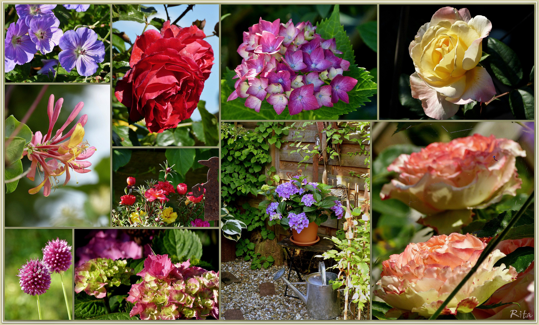 schöne Grüße aus dem Garten&hellip; Foto &amp; Bild pflanzen