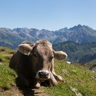 schöne Grüße aus dem Kleinwalsertal