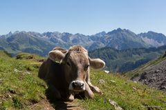 schöne Grüße aus dem Kleinwalsertal