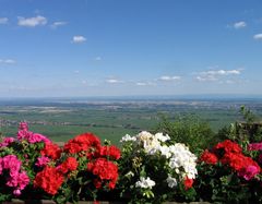 Schöne Grüße aus der Pfalz