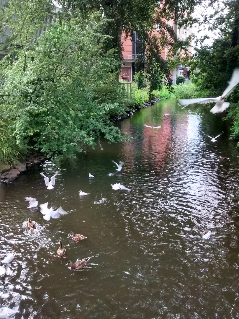 schöne grüße aus harburg am 9.7.16