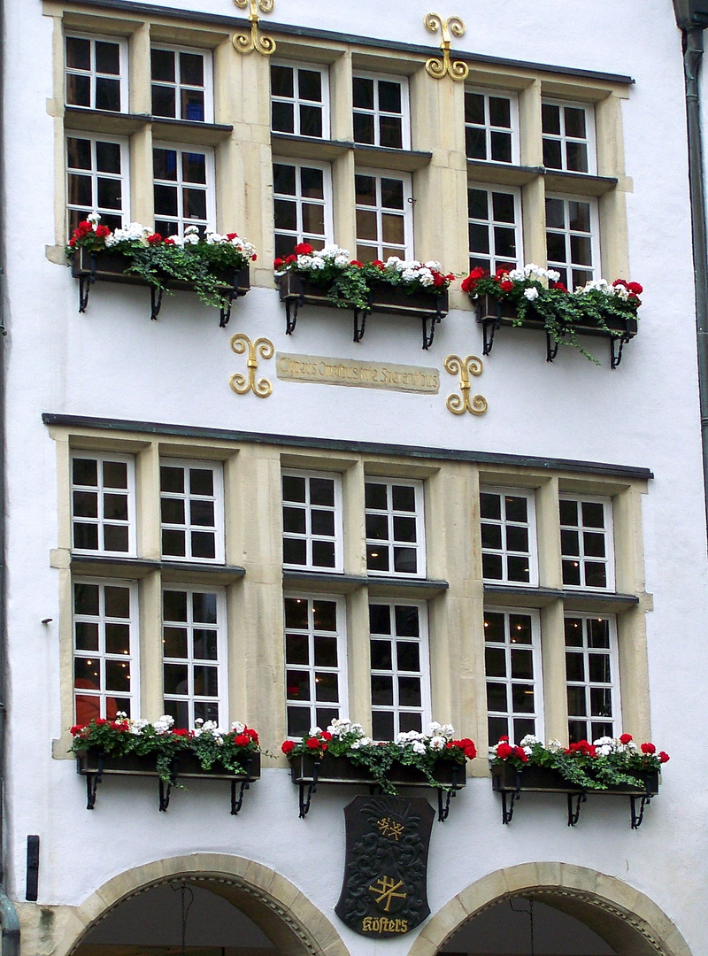 Schöne Häuser Münster