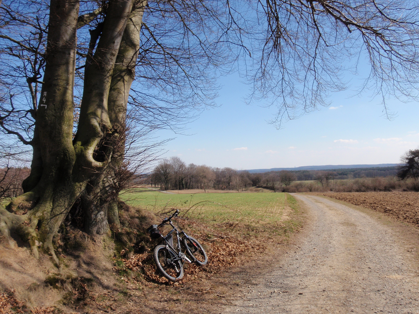 Schöne Heimat