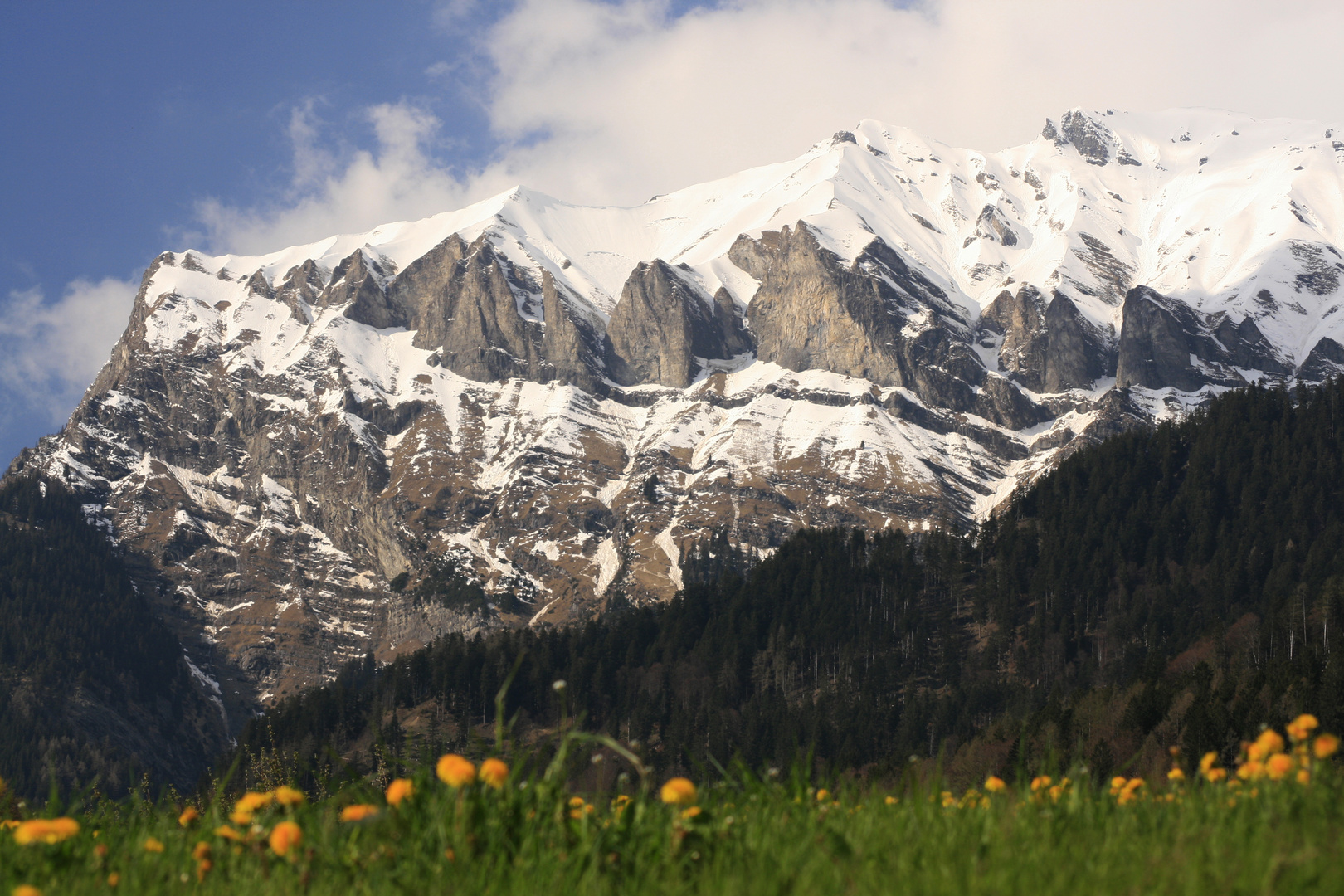 schöne Heimat