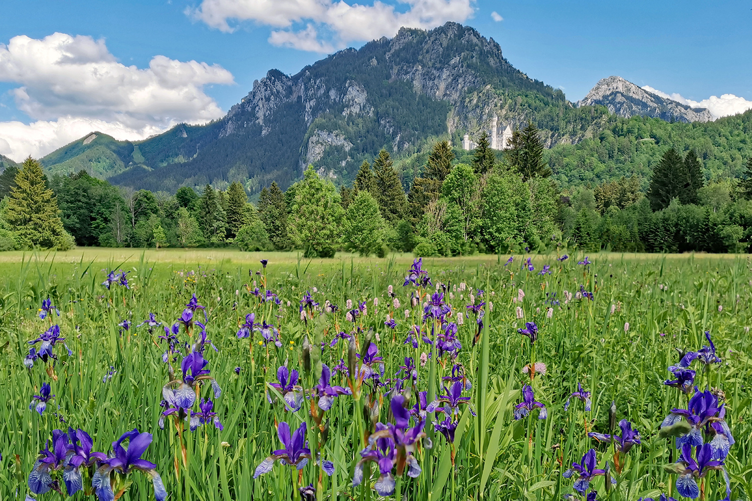 Schöne Heimat!