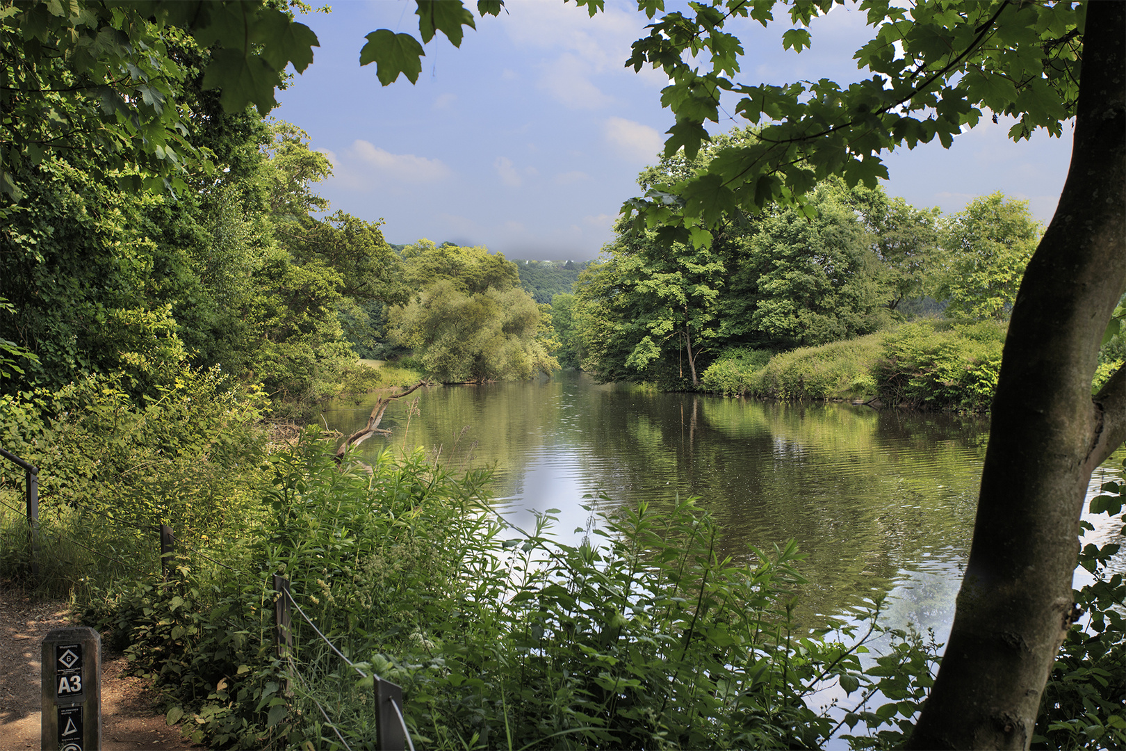 Schöne Heimat im Juni